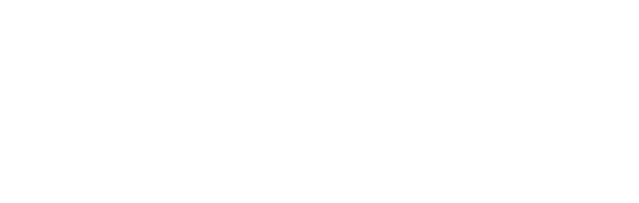 logo light